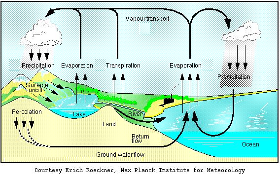 Basic Principles of the Hydrological Cycle Total
