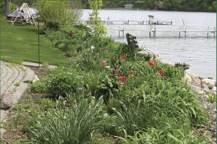 Homeowner Management Activities Minimize use of lawn fertilizers Don