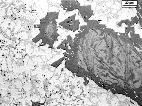 Light optical micrograph of PTA sample B. Aspolished condition. Figure 8.