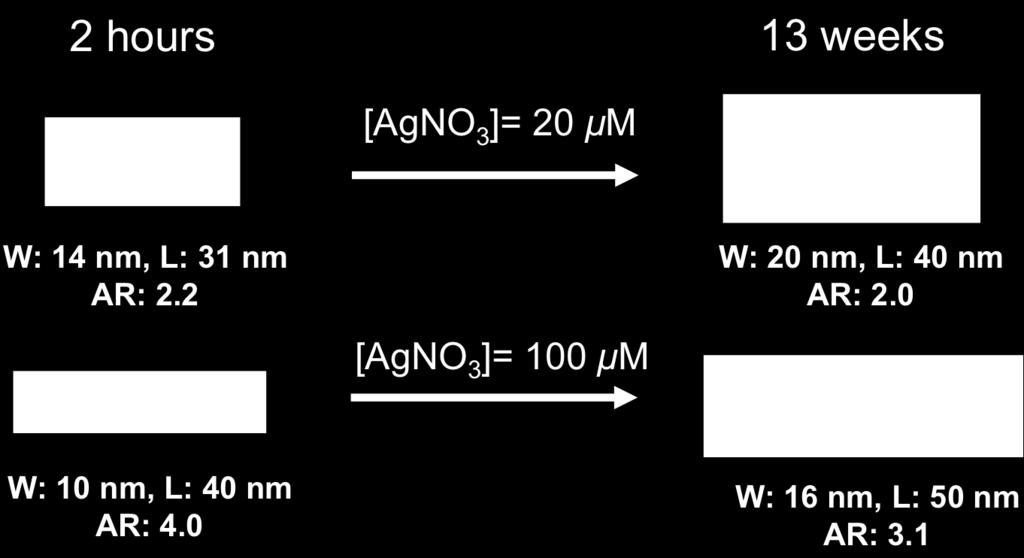 Figure S3. Schematic summary of gold nanorod dimensions at 2 hours and 13 weeks, drawn to scale. The average width (w), length (L), and aspect ratio (AR) are given for comparison.