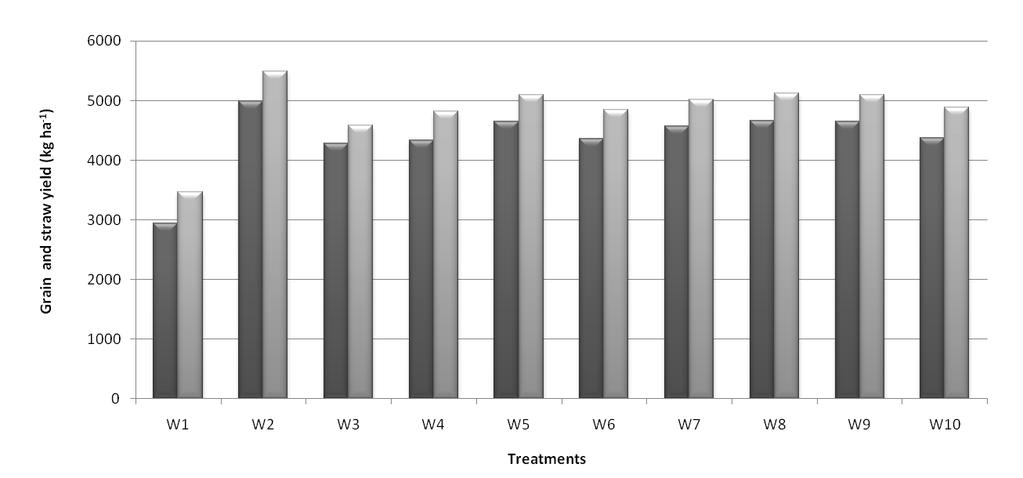 Fig. 1: Effect of different weed management treatments on grain and straw yield (kg/ha) at