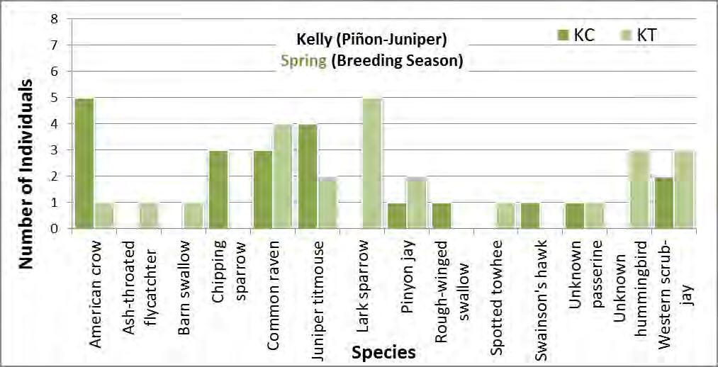 Birds: Species Spring breeding season bird species composition at PJ