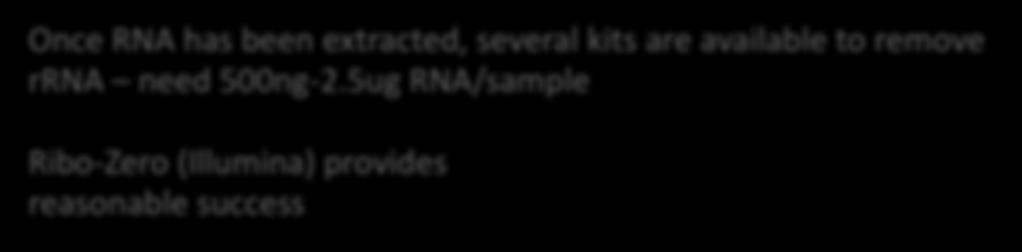 Preparing sample for sequencing Bacterial mrna s lack a polya tail so how to remove abundant rrna
