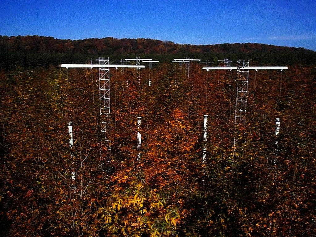 Oak Ridge Experiment on CO 2 Enrichment of Sweetgum Goal To understand how the eastern deciduous forest will be affected by CO 2 enrichment of the atmosphere, and what are the