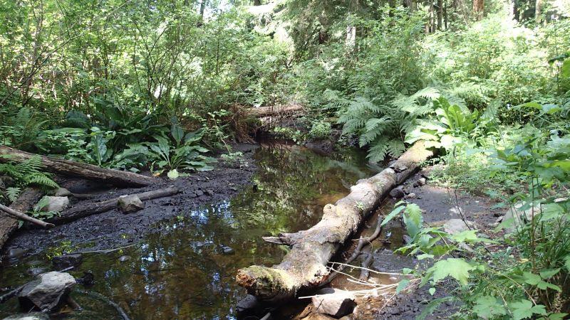 A NCD drainage is not defined in the Private Managed Forest Land Council Regulation (PMFLCR) (B.C. Reg. 182/207).