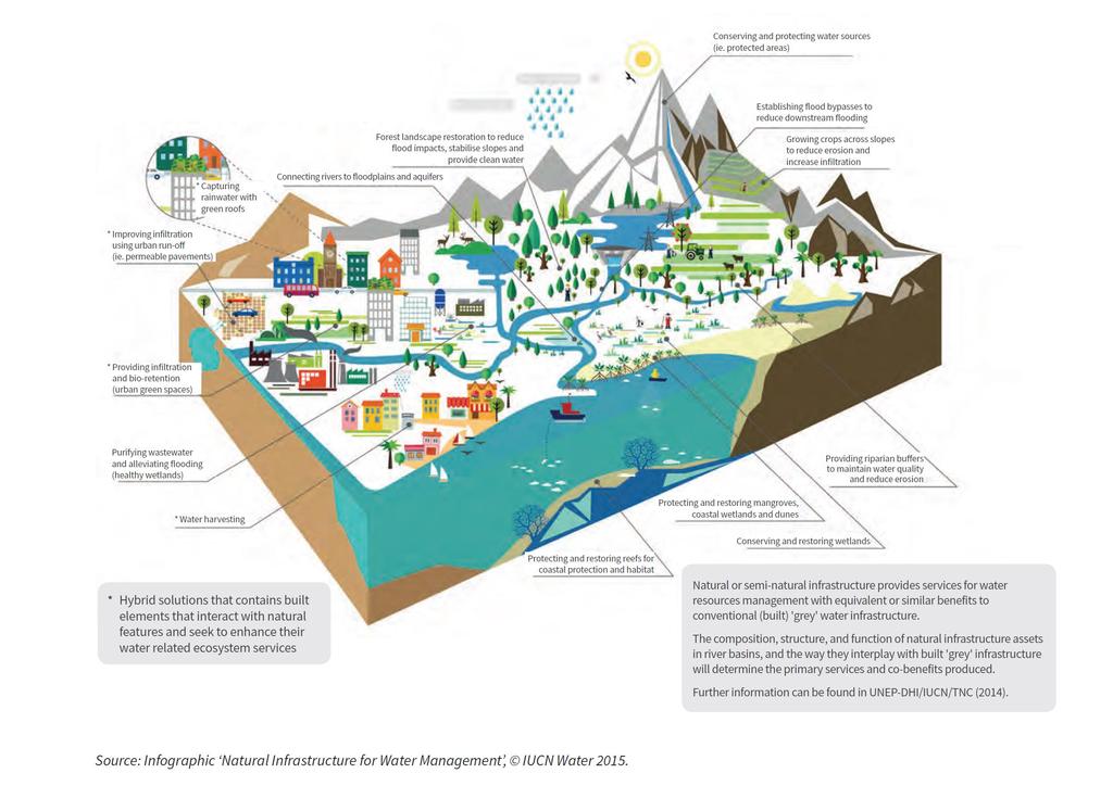 Ecosystem Services Nature Conservation, Restoration, Rehabilitation and Biomimicry