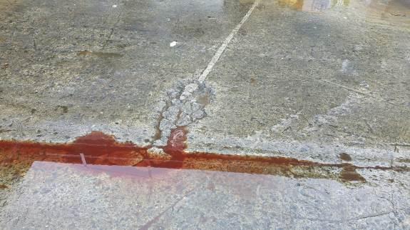 Appendix 1 - Photos Photo 1: Bloody water accumulating along joints and