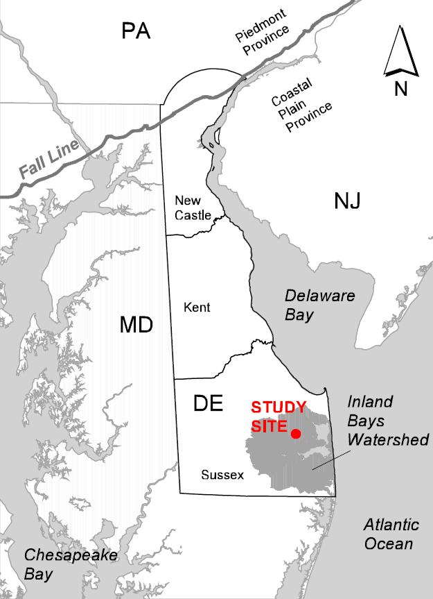 Shallow water table and a thick, sandy surficial aquifer susceptible to nitrogen (N) contamination Groundwater is the major contributor of N to streams and the Inland Bays, which have a significant