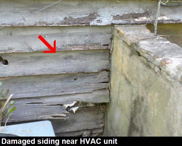 the dryer vent, rear of the house near the sliding glass door. Repairs can be made by a qualified contractor.