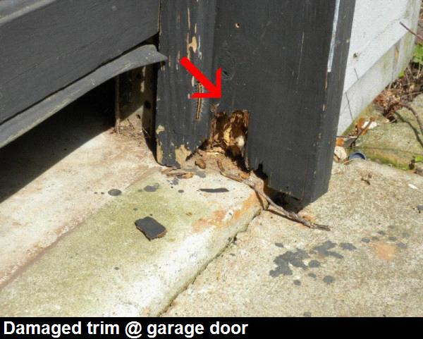 Damage noted in the following location(s): trim around the garage door just above the concrete. Condition(s) should be repaired/replaced as necessary by a qualified general contractor.