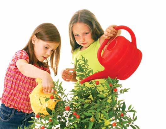 Continued from previous page Growing and Harvesting Ensure all persons including staff, students, and volunteers receive basic food and gardening safety training, including: hand-washing and personal