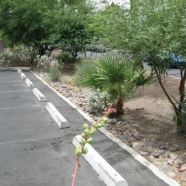 impervious cover in parking & street designs
