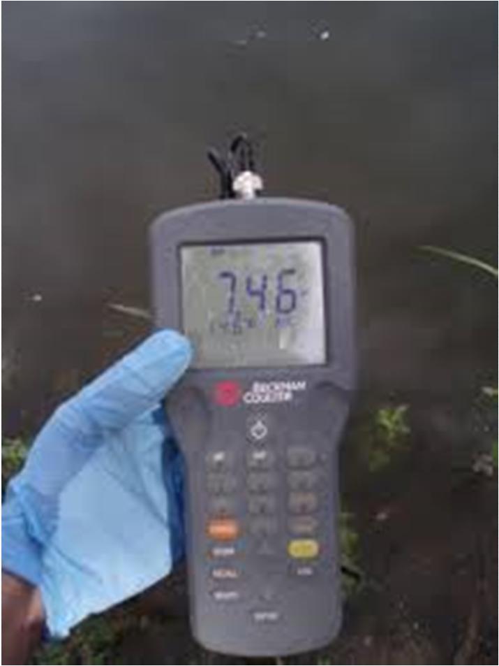 Benchmark Monitoring The benchmark concentrations are not effluent limitations; a benchmark exceedance, therefore, is not a permit violation.