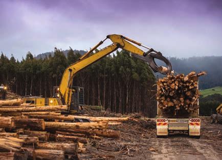 Our hardwood woodchip comes from Australia s largest freehold plantation estates, where we use