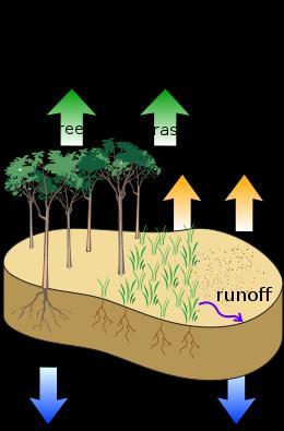 Physics of Evapotranspiration ET is an energy controlled process requiring the conversion of available radiation