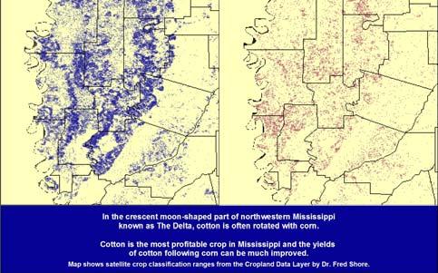 Comparing Crop Overlays Cotton and Corn Similar land use patterns are observed for these crops.