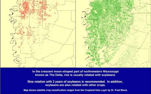 A comparison of multi-year overlays of cotton and corn, two crops used in rotation.