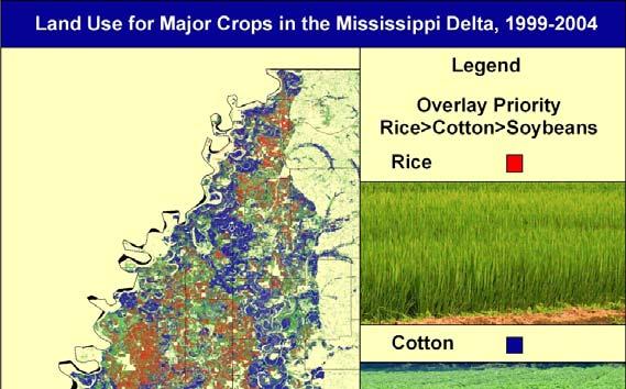 Crop Overlays by Priority Overlaying soybeans with cotton and then overlaying both with rice reveals that potential rice acreage is nearly equivalent to the cotton acreage. Figure 10.