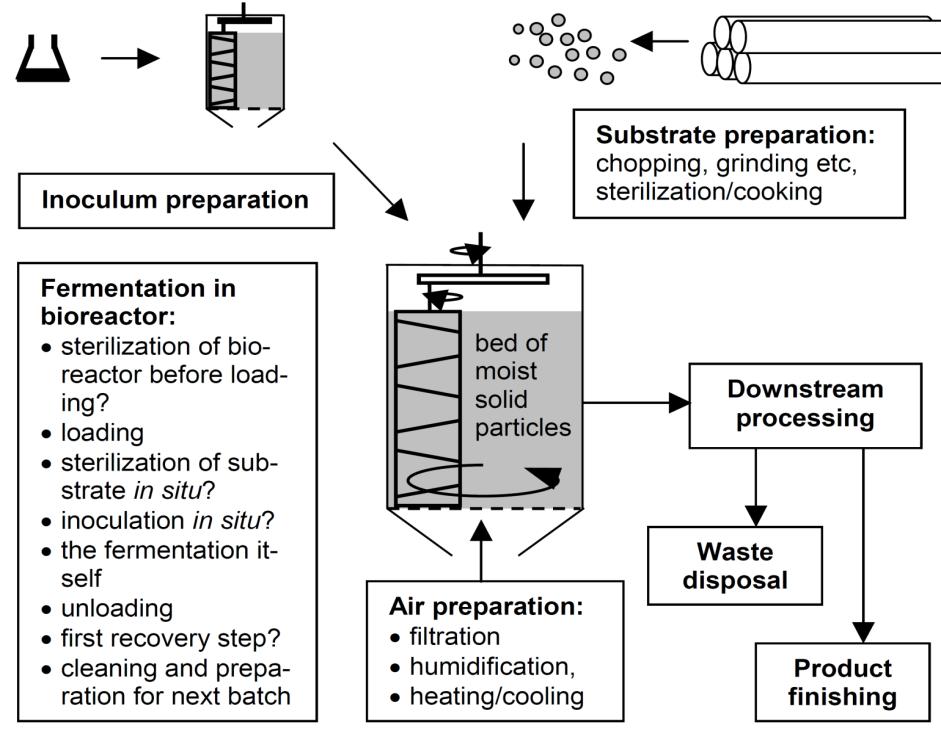 The General Steps of an SSF Process: Inoculum preparation Substrate preparation Bioreactor