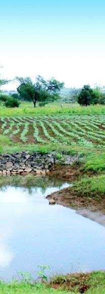CW at ICRISAT Low cost physical structures (broad bed furrows & contour bunds) &