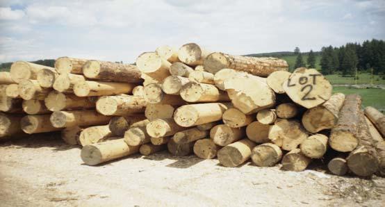 Illegal logging 624 rangers currently employed in Serbia.. In the State forests the greatest number of illegal activities is related to wood theft and illegal hunting.