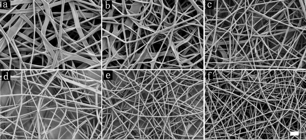 46 Figure 4.1 SEM images of electrospun collagen fibers spun with 25wt% collagen solution in relative humidity (RH) levels of (a) 20%, (b) 25%, (c) 30%, (d) 35%, (e) 40%, (f) 45%. Scale bar: 1µm.