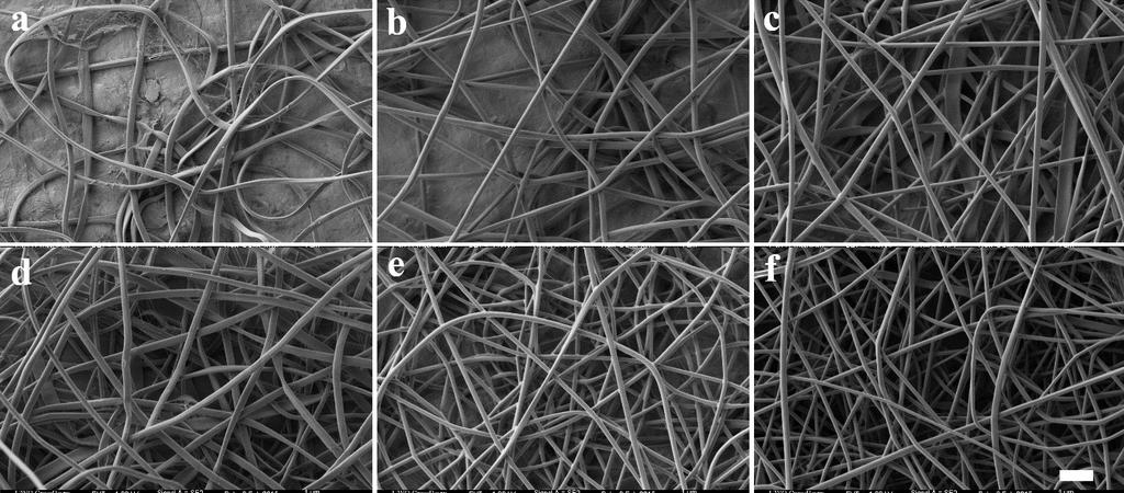 50 cylindrical fibers, larger average fiber size and more fiber fusion. Figure 4.6. SEM images of electrospun collagen fibers spun with 20 wt% collagen solution at a flow rate of 0.