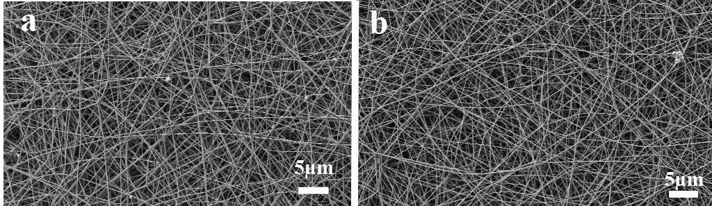 64 Figure 4.16. SEM micrographs of N + implanted eletrospun collagen fibers immersed in water for 7 days. (a) Implantation with 4 x 10 15 ions/cm 2 (b) implantation with 8 x 10 15 ions/cm 2 4.5.3.