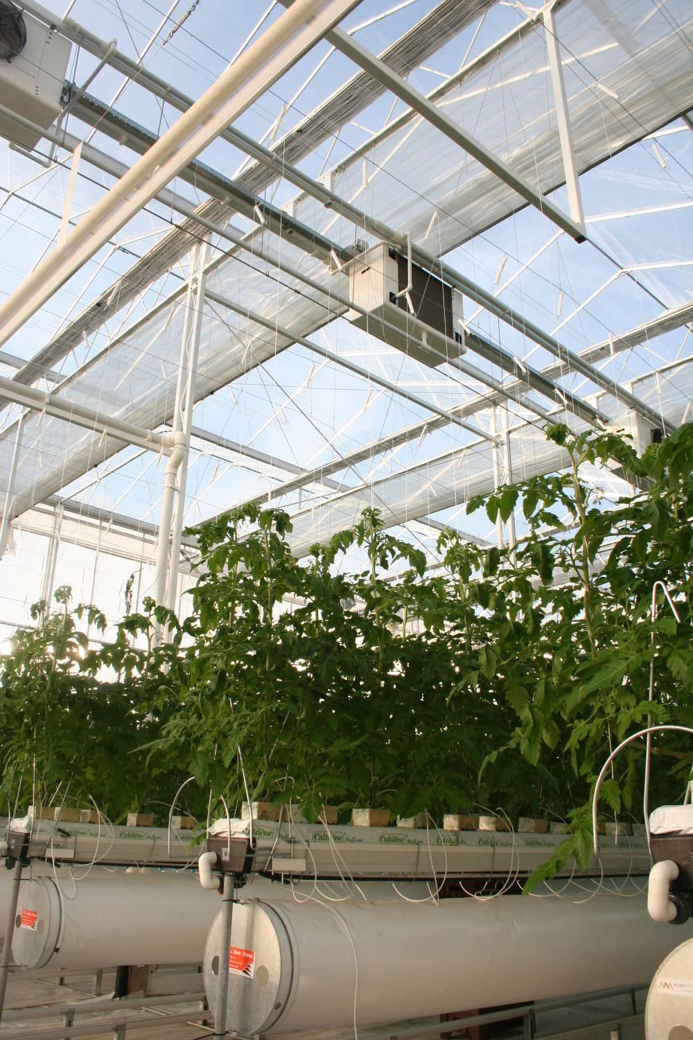 Closed greenhouse Minimum ventilation openings, keep ventilation as close as