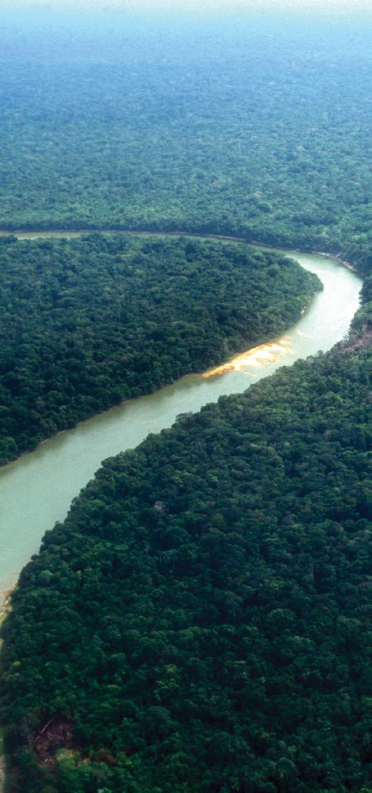 FOREST AND LAND USE IN BRAZIL AND THE AMAZON Key 2020 Objectives: n Achieve Zero Net Deforestation in Brazil and Amazon by 2020 n In Brazil, Obtain 50% of Beef and 50% of Soy from Zero Deforestation