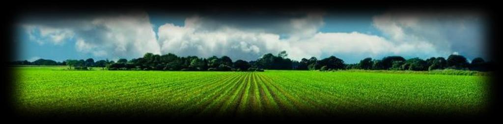 Agriculture Economic Development