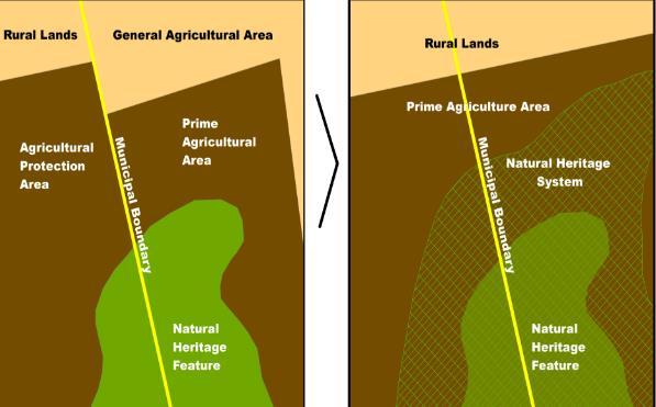 Innovations in the Agricultural System Approach Conventional vs.