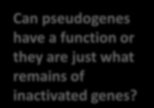 has a tumor suppressive function Can pseudogenes have a function or they are just