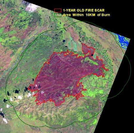 Results - Analysis of Historical Transient Land Cover Boreal vegetation influences fire (meso-scale climate, ignition probability, fire spread) Fire influences boreal vegetation NDVI Inside - NDVI