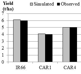 Simulation of yields using