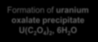 uranium oxalate precipitate U(C 2 O 4 )