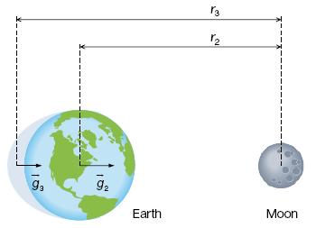 water on Earth s surface closest to the moon is subject to the strongest gravitational force, g1 water in the Earth s centre is subject to a