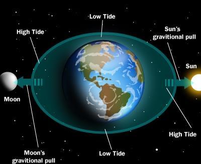 rotate once it takes 50 minutes for the moon to move to its highest point There are 2 high tides and 2 low tides per day it is 12h25min