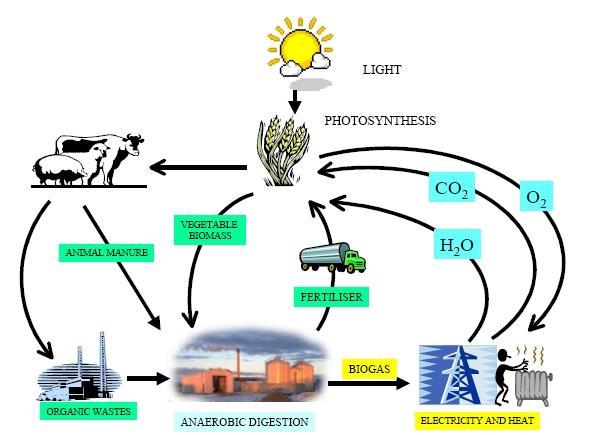 Biomass to Biogas