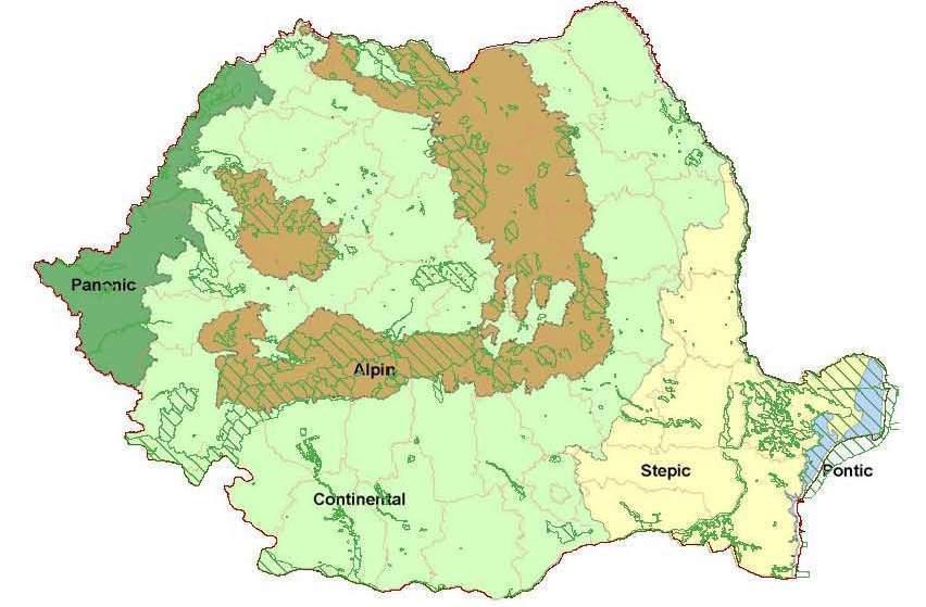 STIPA: Saving Transylvania s Important Pastoral Ecosystems PROJECT LOCATION: Central Transilvania, Romania BUDGET INFO: Total amount: 356.