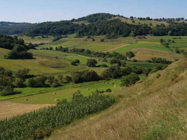 Nature Value farmed landscape