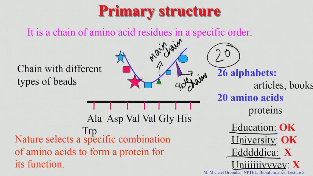 discussed earlier primary structure; is a specific combination of amino acid residues in a protein.