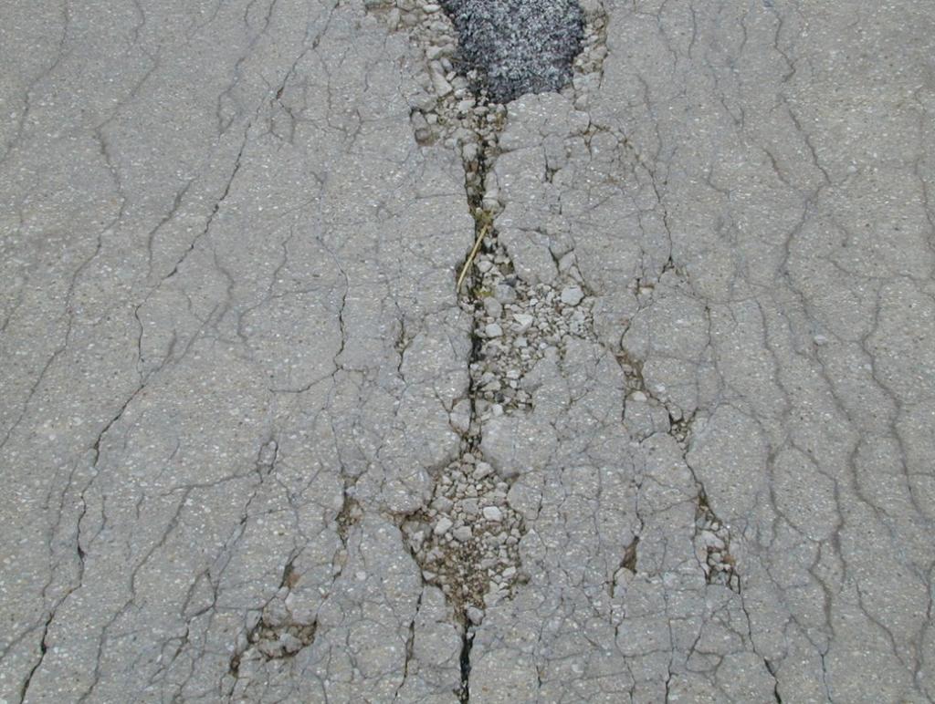 Durability ( D ) Cracking Durability cracking is usually caused by a pavement s inability to withstand the forces created by freeze-thaw cycles in concrete pavements that are susceptible to moisture