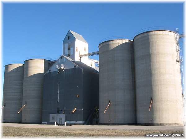 C. Maintaining Grain Stockpiles World grain carryover stocks are the amounts of food remaining from the previous year.