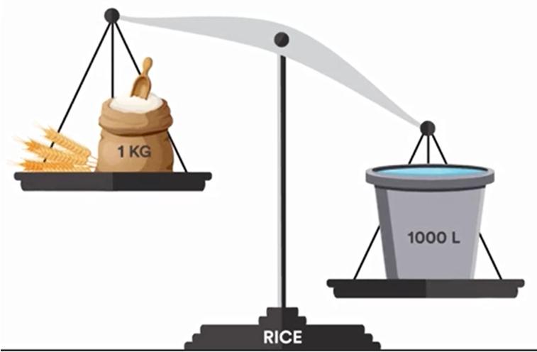IRRIGATION Growing plants and vegetables requires enormous quantities of water. As an example, manufacturing 1 kg of cereals requires an average of 1000 L of water!