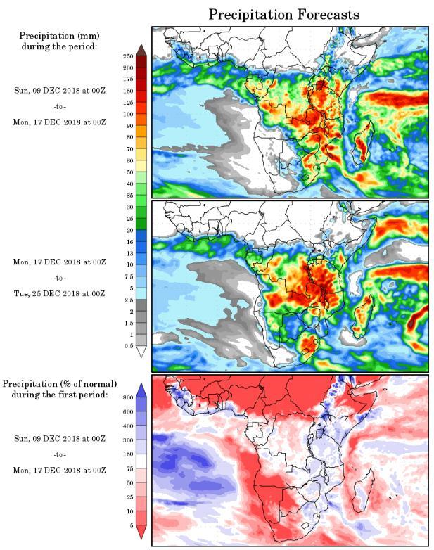Figure 5: South Africa s precipitation forecast Source: wxmaps Key Data Releases in the Agricultural Market: USDA s World Agricultural Supply and Demand Estimates Report: 11/12/2018 SAGIS producer
