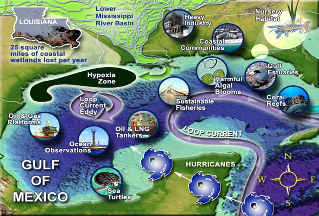 Gulf of Mexico-An Ecosystem View of Issues