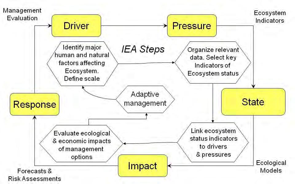 Process is important: Developing Indicators and