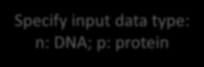 Even though it can accept nucleotide, it is strongly recommended to use protein sequences.