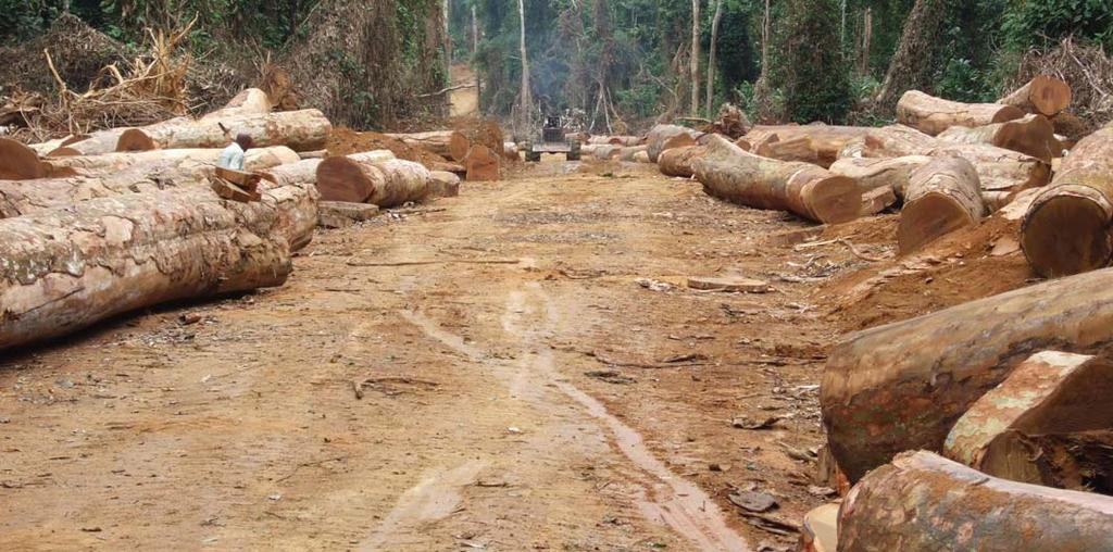 Industrial logging: a failed model for sustainable development Proponents of industrial logging justify its expansion by arguing that it contributes to sustainable development and poverty alleviation.